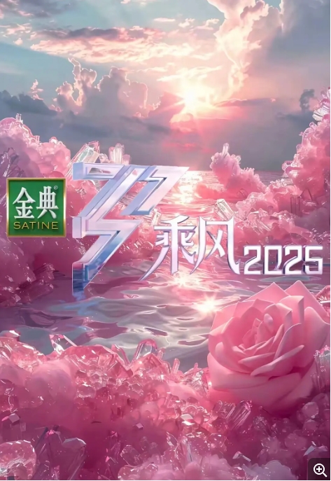 【夸克网盘】综艺《乘风2025 乘风破浪的姐姐》 第六季 [附前5季][音乐 真人秀]