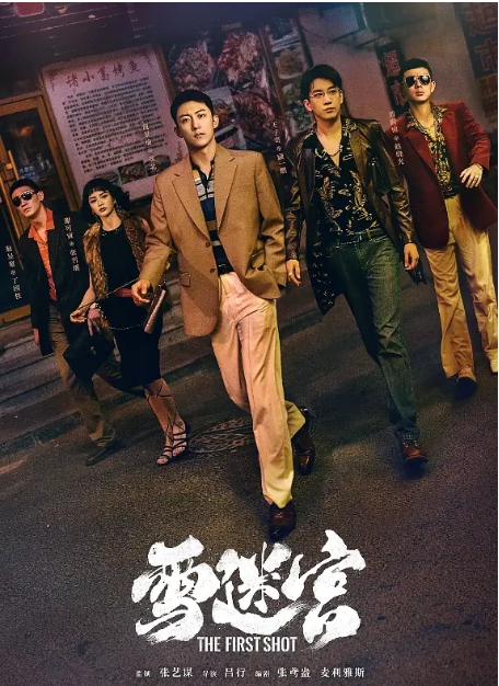 [夸克网盘]电视剧 悬疑 / 犯罪《雪迷宫》(2024)