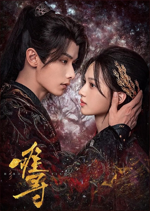 [夸克网盘]电视剧   爱情 / 短片 / 奇幻 / 古装《难寻》(2024)