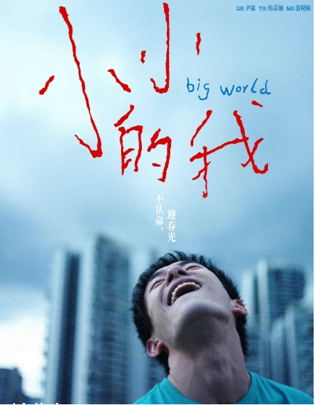 [夸克网盘]电影  家庭《小小的我》(2024)