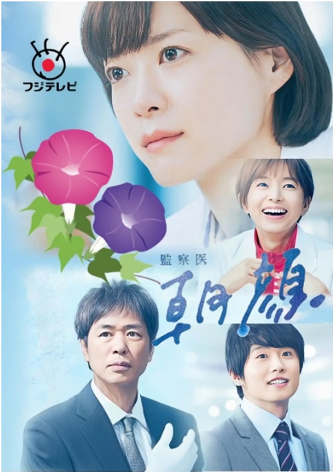 [夸克网盘]【日剧】《法医朝颜》1-2季+特别篇 剧情