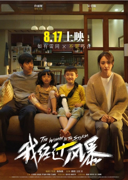 [夸克网盘]电影   剧情 / 家庭《我经过风暴》（2023）