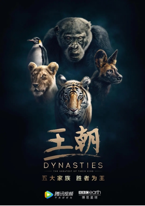 [夸克网盘]英国纪录片《王朝》（2018-2022）豆瓣9.5