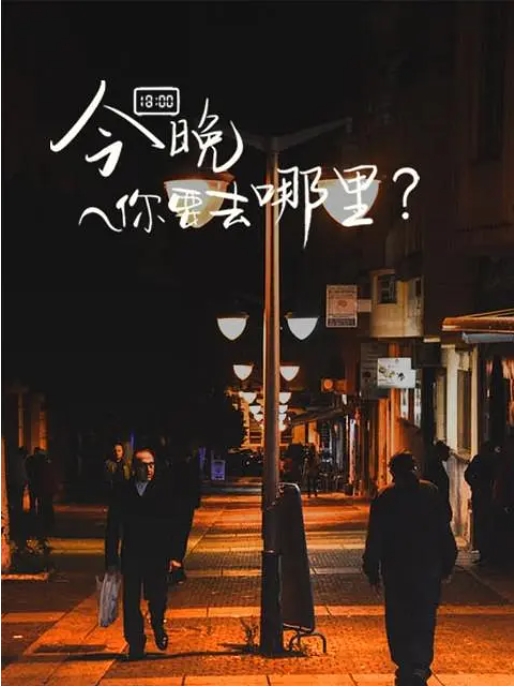 [夸克网盘]纪录片 / 短片《今晚你要去哪里》（2022）