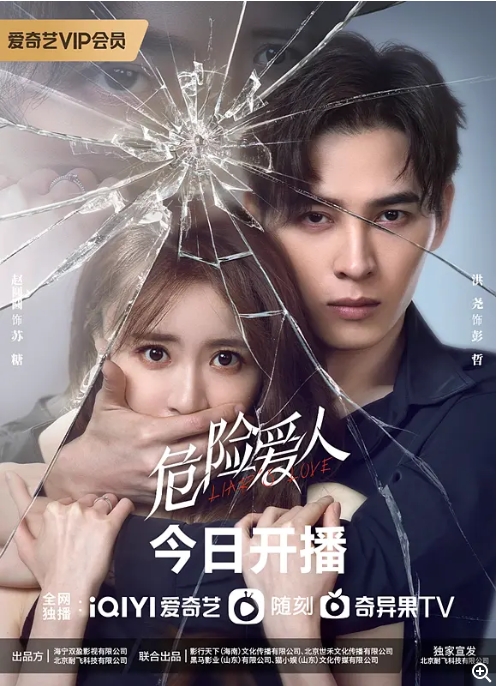 [夸克网盘]电视剧    悬疑《危险爱人》（2022）