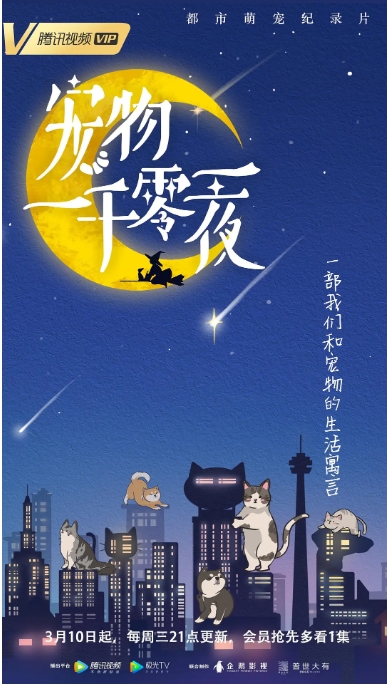[夸克网盘]纪录片《宠物一千零一夜》 (2021)