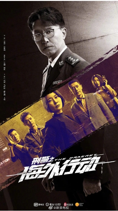 [夸克网盘]电视剧      剧情 / 悬疑《刑警之海外行动》（2021）