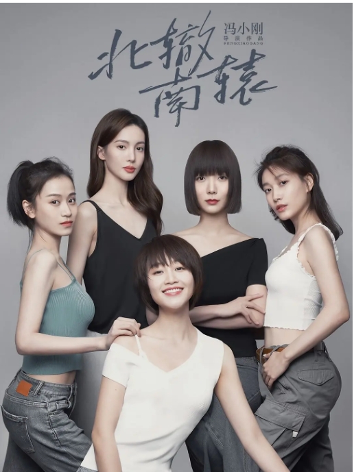[夸克网盘]连续剧   剧情《北辙南辕》（2021）