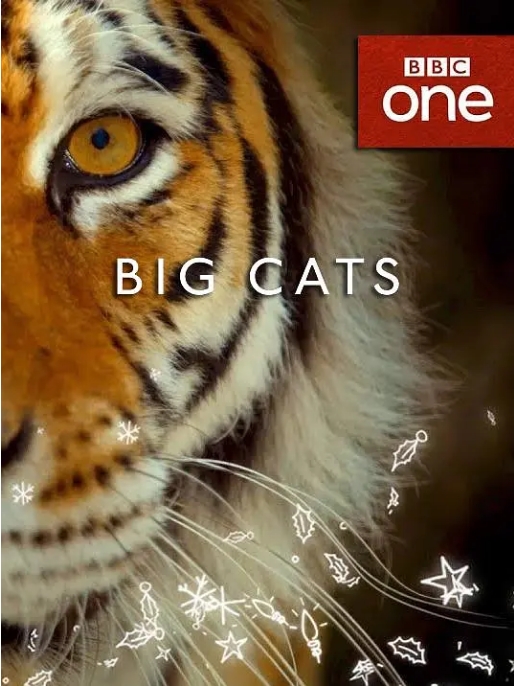 [夸克网盘]英国纪录片《大猫》（2018）豆瓣9.5