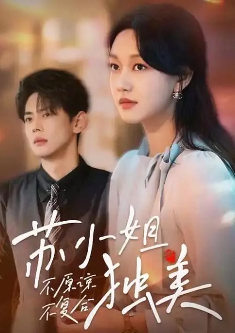 [夸克网盘]国内短剧    剧情 / 短片 《不原谅不复合苏小姐独美》(2024)