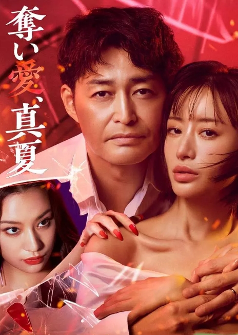 [日本电视剧]《夺爱仲夏》（2025） 爱情 / 悬疑 [夸克网盘]