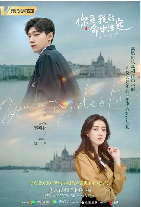 中国大陆电视剧  《你是我的命中注定》 (2020) 爱情[夸克网盘]