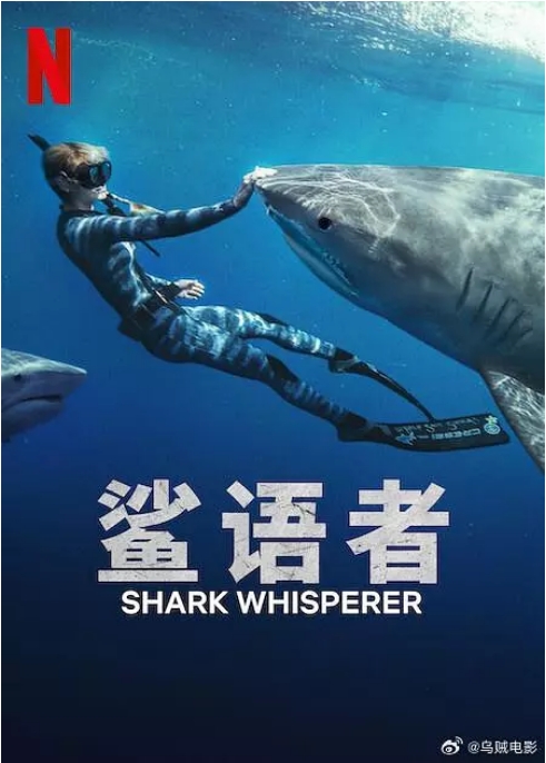 [夸克网盘]美国纪录片《鲨语者》（2025）