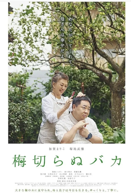 [夸克网盘]日本电影《不砍梅树的傻瓜》（2021）剧情