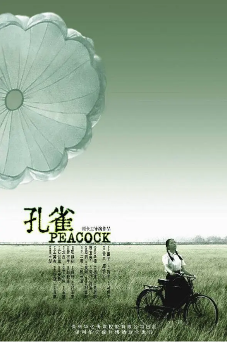 [夸克网盘][百度网盘]国内电影《孔雀》（2005）剧情 / 家庭 豆瓣8.2