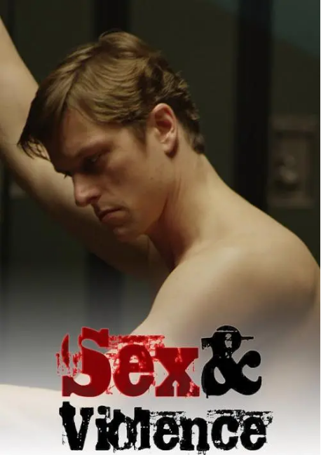 [夸克网盘]加拿大连续剧《性与暴力》（1-3季）（2013-2017）剧情 / 犯罪 豆瓣7.4