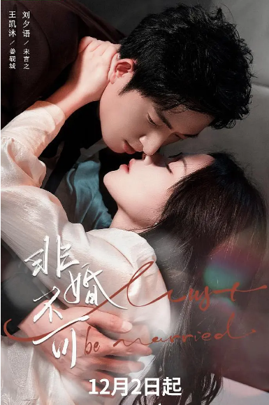 [夸克网盘][国剧]短剧《非婚不可》（2025）剧情 / 爱情 / 短片