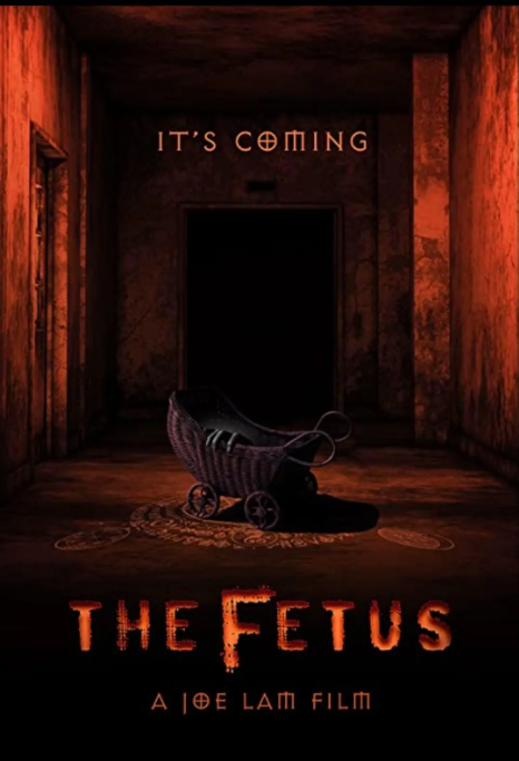 [夸克网盘][百度网盘]美国电影《胎儿》（2025）喜剧 / 恐怖